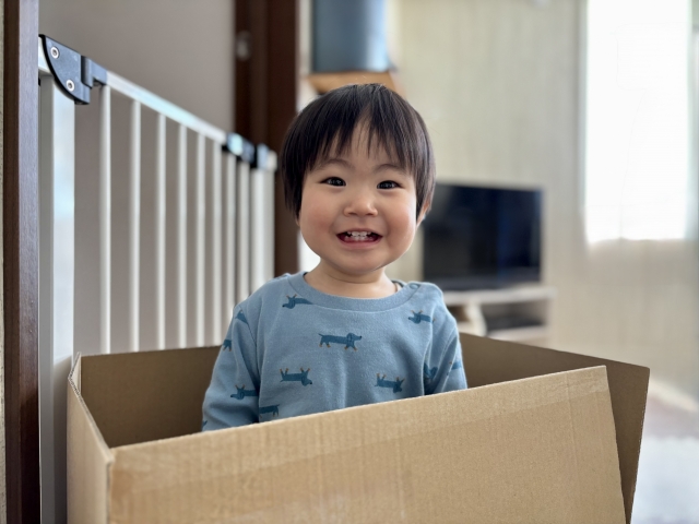 ダンボールの中に立つ子供
