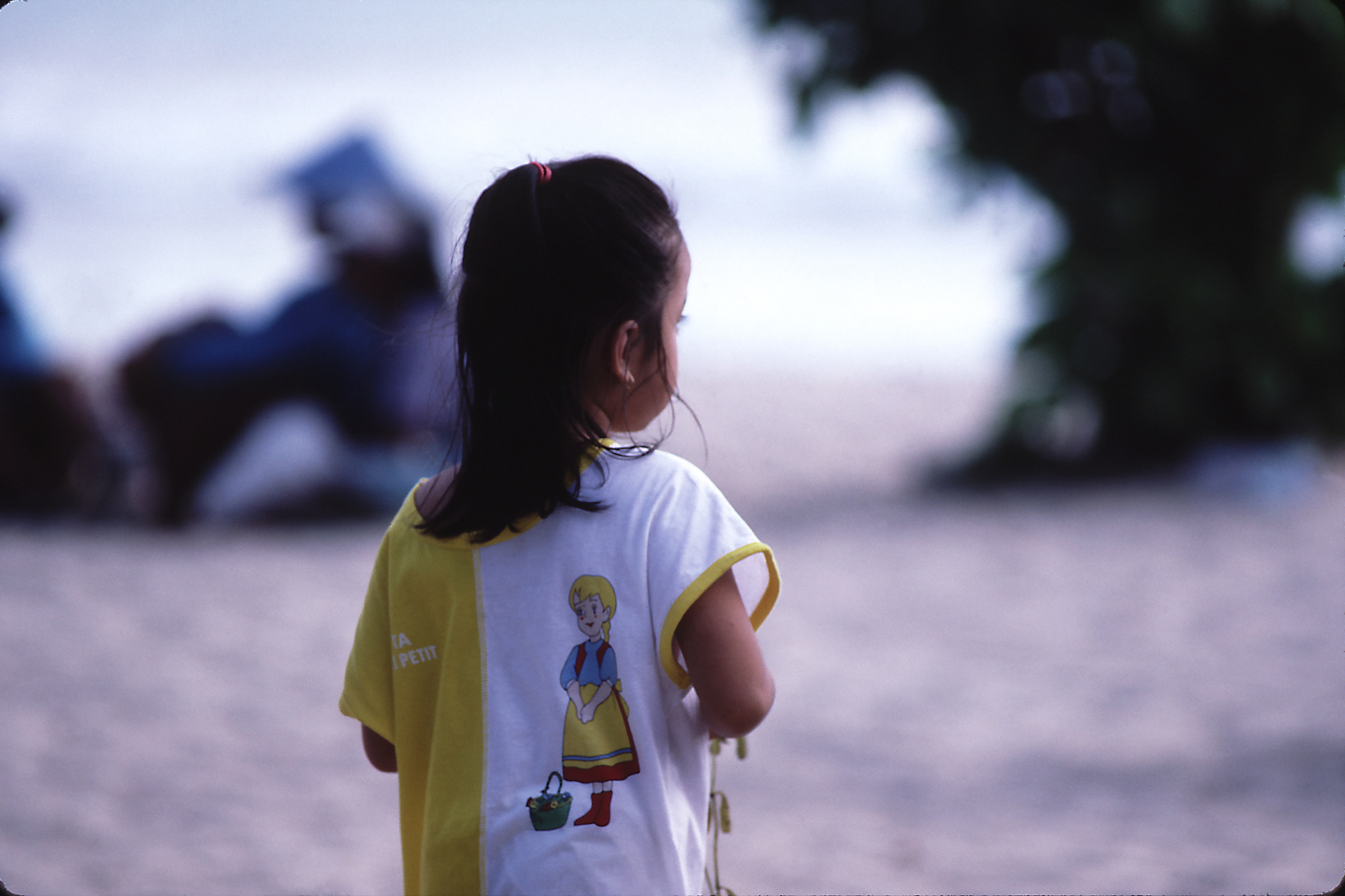 子供の背中の写真