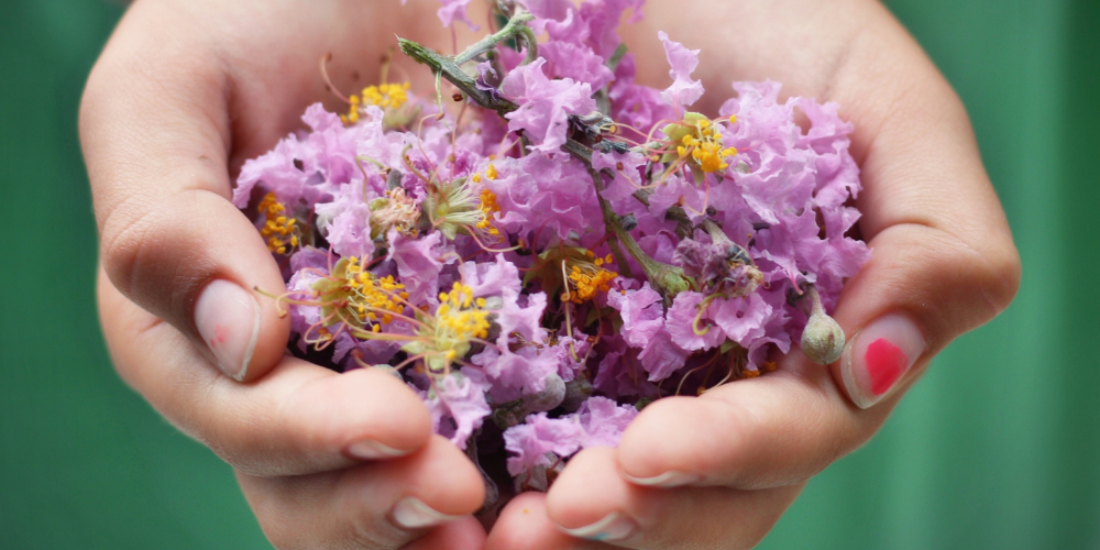 手の平の中の花びら
