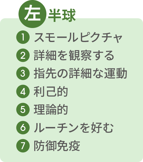 左半球|①スモールピクチャ ②詳細を観察する ③指先の詳細な運動 ④利己的 ⑤理論的 ⑥ルーチンを好む ⑦防御免疫