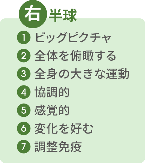 右半球|①ビッグピクチャ ②全体を俯瞰する ③全身の大きな運動 ④協調的 ⑤感覚的 ⑥変化を好む ⑦調整免疫