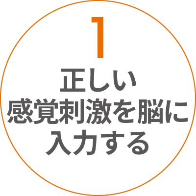 1 正しい感覚刺激を脳に入力する