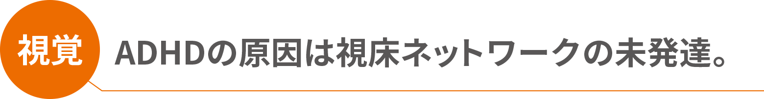 視覚：ADHDの原因は視床ネットワークの未発達。