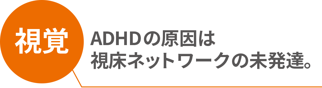 視覚：ADHDの原因は視床ネットワークの未発達。